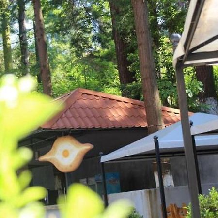 Hulus Hotel Makhinjauri Bagian luar foto
