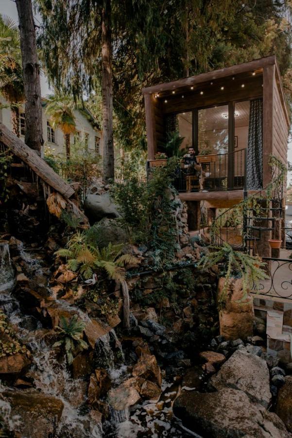Hulus Hotel Makhinjauri Bagian luar foto